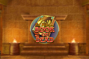 The Dead or Alive Online Slot